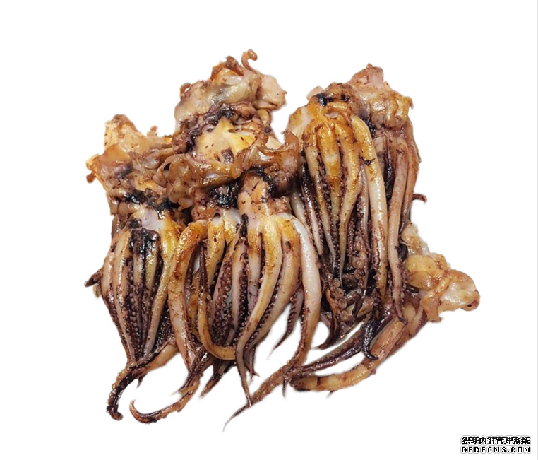 鱿鱼头