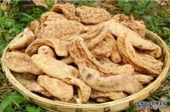 天麻是热性还是凉性，平性食材对身体有益