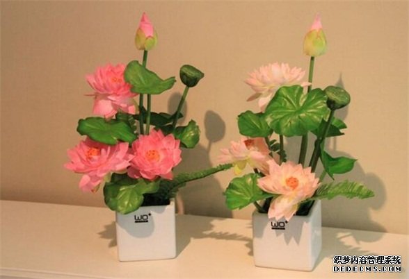 莲花的象征意义，莲花代表着高洁圣洁