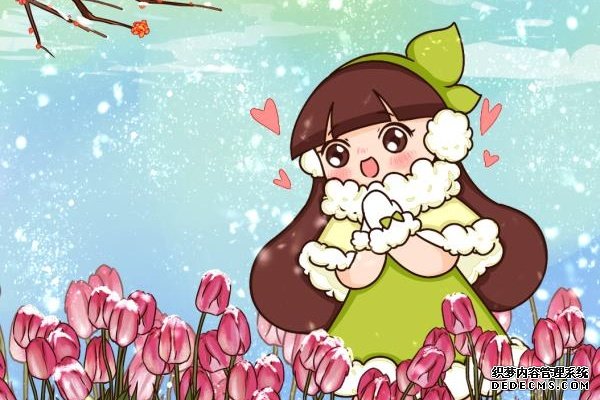 零下20℃，冻不死的花，不用搬进屋！