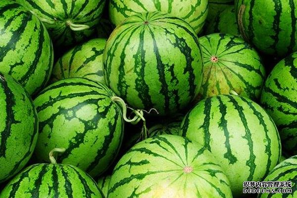 大棚西瓜种植与管理技术